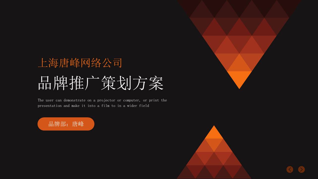 营销策划 (16).pptx